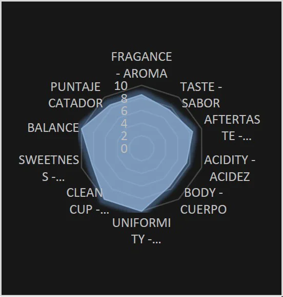Perfil de taza Zendal Coffee