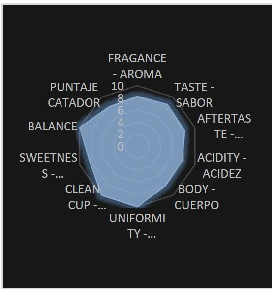 Perfil de taza Zendal Coffee
