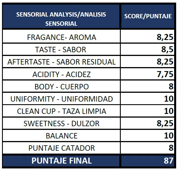 Perfil de taza Zendal Coffee