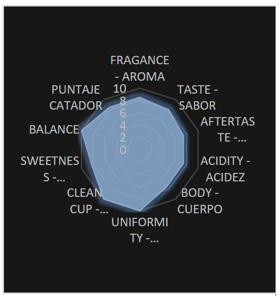 Perfil de taza Zendal Coffee
