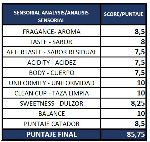Perfil de taza Zendal Coffee