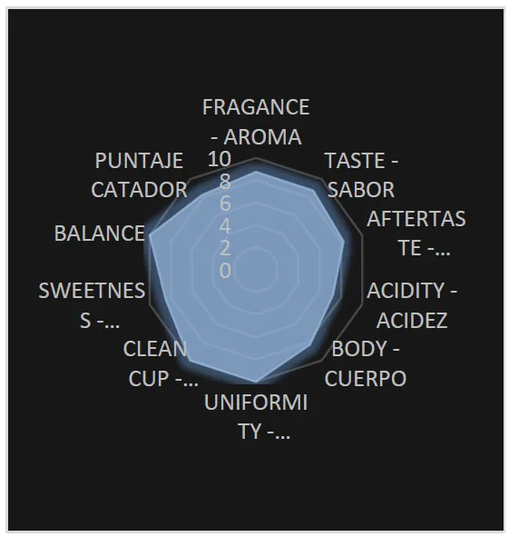 Perfil de taza Zendal Coffee