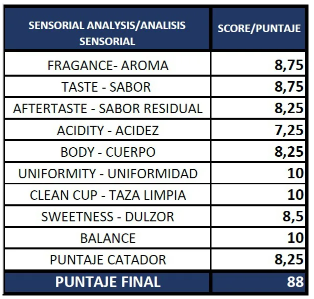 Perfil de taza Zendal Coffee